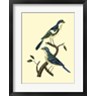 Levaillon - Vintage Bird Pair I (R724827-AEAEAGOFLM)