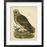 Nozeman - Antique Nozeman Owl I (R725163-AEAEAGOFLM)