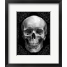 Ethan Harper - Glam Skull (R725680-AEAEAGOFDM)