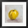 Liz Nichols - Painted Fruit VI (R726127-AEAEAGOELM)
