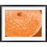 George Dilorenzo - Orange Abstract (R726234-AEAEAGOFDM)