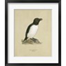 Von Wright - Antique Penguin I (R730257-AEAEAGOFLM)