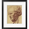 Jean-Baptiste Greuze - Study of the Head of an Old Man (R737291-AEAEAGOFLM)