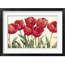 Carol Rowan - Ruby Tulips (R741264-AEAEAGOFDM)