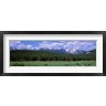 Panoramic Images - Beaver Meadows Rocky Mountain National Park CO USA (R742692-AEAEAGOFDM)