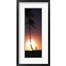 Panoramic Images - Runner on Magic Island, Hawaii (vertical) (R744277-AEAEAGOFDM)