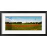 Panoramic Images - People jogging in a public park, McCarren Park, Greenpoint, Brooklyn, New York City, New York State, USA (R745892-AEAEAGOFDM)