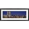 Panoramic Images - Skyline with World Trade Center at Night (R747739-AEAEAGOFDM)