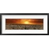 Panoramic Images - Sunset over a desert, Palm Springs, California, USA (R750875-AEAEAGOFDM)