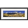 Panoramic Images - USA, Colorado, Rocky Mountains, aspens, autumn (R750927-AEAEAGOFDM)
