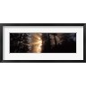 Panoramic Images - God Rays, Redwoods National Park, CA (R751200-AEAEAGOFDM)