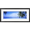 Panoramic Images - Ocean, Island, Water, Palm Trees, Maldives (R751490-AEAEAGOFDM)