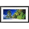 Panoramic Images - Palm Beach The Maldives (R751734-AEAEAGOFDM)