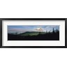 Panoramic Images - Silhouette of trees with a mountain in the background, Canadian Rockies, Alberta, Canada (R751764-AEAEAGOFDM)