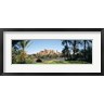 Panoramic Images - Palm trees with a fortress in the background, Tiffoultoute, Ouarzazate, Marrakesh, Morocco (R751784-AEAEAGOFDM)