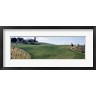 Panoramic Images - Vineyards and Olive Grove outside San Gimignano Tuscany Italy (R752361-AEAEAGOFDM)