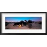Panoramic Images - Bedouin Camp, Tunisia, Africa (R753629-AEAEAGOFDM)