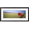 Panoramic Images - USA, California, Red cowboy hat hanging on the fence (R753906-AEAEAGOFDM)
