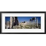 Panoramic Images - Old ruins on a landscape, Cardo Maximus, Apamea, Syria (R754472-AEAEAGOFDM)