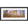 Panoramic Images - Ruins in Palmyra, Syria (R754489-AEAEAGOFDM)
