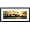 Panoramic Images - Silhouette of palm trees on an island at sunset, Laughing Bird Caye, Victoria Channel, Belize (R755269-AEAEAGOFDM)
