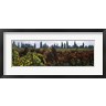Panoramic Images - Vineyards with trees in the background, Apennines, Emilia-Romagna, Italy (R755510-AEAEAGOFDM)