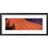 Panoramic Images - Shadow of trees on a rock formation, Checkerboard Mesa, Zion National Park, Utah, USA (R755779-AEAEAGOFDM)