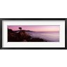 Panoramic Images - Silhouette of a cypress tree at coast, The Lone Cypress, 17 mile Drive, Carmel, California, USA (R755874-AEAEAGOFDM)