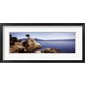 Panoramic Images - Cypress tree at the coast, The Lone Cypress, 17 mile Drive, Carmel, California (R755875-AEAEAGOFDM)