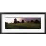 Panoramic Images - Trees in a golf course, Montecito Country Club, Santa Barbara, California, USA (R756223-AEAEAGOFDM)