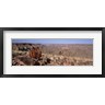 Panoramic Images - Aloe growing at the edge of a canyon, Fish River Canyon, Namibia (R756240-AEAEAGOFDM)