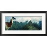 Panoramic Images - Alpaca (Vicugna pacos) on a mountain with an archaeological site in the background, Inca Ruins, Machu Picchu, Cusco Region, Peru (R756304-AEAEAGOFDM)