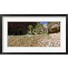 Panoramic Images - North Fork of the Virgin River, Zion National Park, Washington County, Utah, USA (R756541-AEAEAGOFDM)