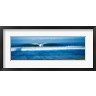 Panoramic Images - Waves in the ocean, North Shore, Oahu, Hawaii (R756616-AEAEAGOFDM)