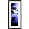 Panoramic Images - Palm trees on the coast, Colombia (purple and blue) (R756975-AEAEAGOFDM)