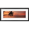 Panoramic Images - Silhouette of palm tree on the beach at sunrise, Fihalhohi Island, Maldives (R757246-AEAEAGOFDM)
