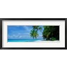 Panoramic Images - Palm trees on the beach, Fihalhohi Island, Maldives (R757249-AEAEAGOFDM)