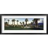 Panoramic Images - Palm trees in a golf course, Desert Springs Golf Course, Palm Springs, Riverside County, California, USA (R758089-AEAEAGOFDM)