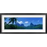Panoramic Images - Lush Foliage And Rock Formations, Moorea Island, Tahiti (R758144-AEAEAGOFDM)