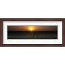 Panoramic Images - Sunrise, Crops, Farm, Sacramento, California, USA (R758314-AEAEAGLFGM)