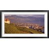 Panoramic Images - Vineyard at a hillside, Lake Geneva, Vevey, Vaud, Switzerland (R758650-AEAEAGOFDM)