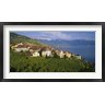 Panoramic Images - Village Rivaz between Vineyards & Mts. Lake Geneva Switzerland (R758651-AEAEAGOFDM)