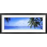 Panoramic Images - Ocean, Island, Water, Palm Trees, Maldives (R758800-AEAEAGOFDM)
