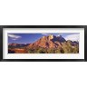 Panoramic Images - Canyon surrounded with forest, Escalante Canyon, Zion National Park, Washington County, Utah, USA (R758944-AEAEAGOFDM)
