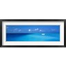 Panoramic Images - Boat in the Ocean, The Maldives (R759037-AEAEAGOFDM)