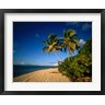 Panoramic Images - Palm trees and beach, Tahiti French Polynesia (R759042-AEAEAGOFDM)