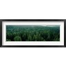 Panoramic Images - Finland, Aulanko, Scandinavian Forest (R759190-AEAEAGOFDM)