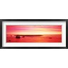 Panoramic Images - Sunrise Chatham Harbor Cape Cod MA USA (R760069-AEAEAGOFDM)
