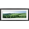 Panoramic Images - Horse Farm, Kentucky, USA (R760505-AEAEAGOFDM)