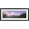 Panoramic Images - Mt Ranier Mt Ranier National Park WA (R760916-AEAEAGOFDM)